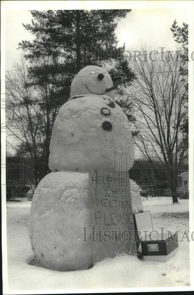 Press Photo Snowman on Route 173 in Jamesville New York - Historic Images
