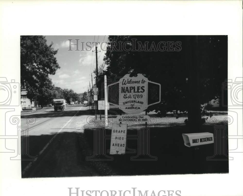 1989 Press Photo Naples New York Welcome Sign and Bicentennial Sign on Route 21 - Historic Images