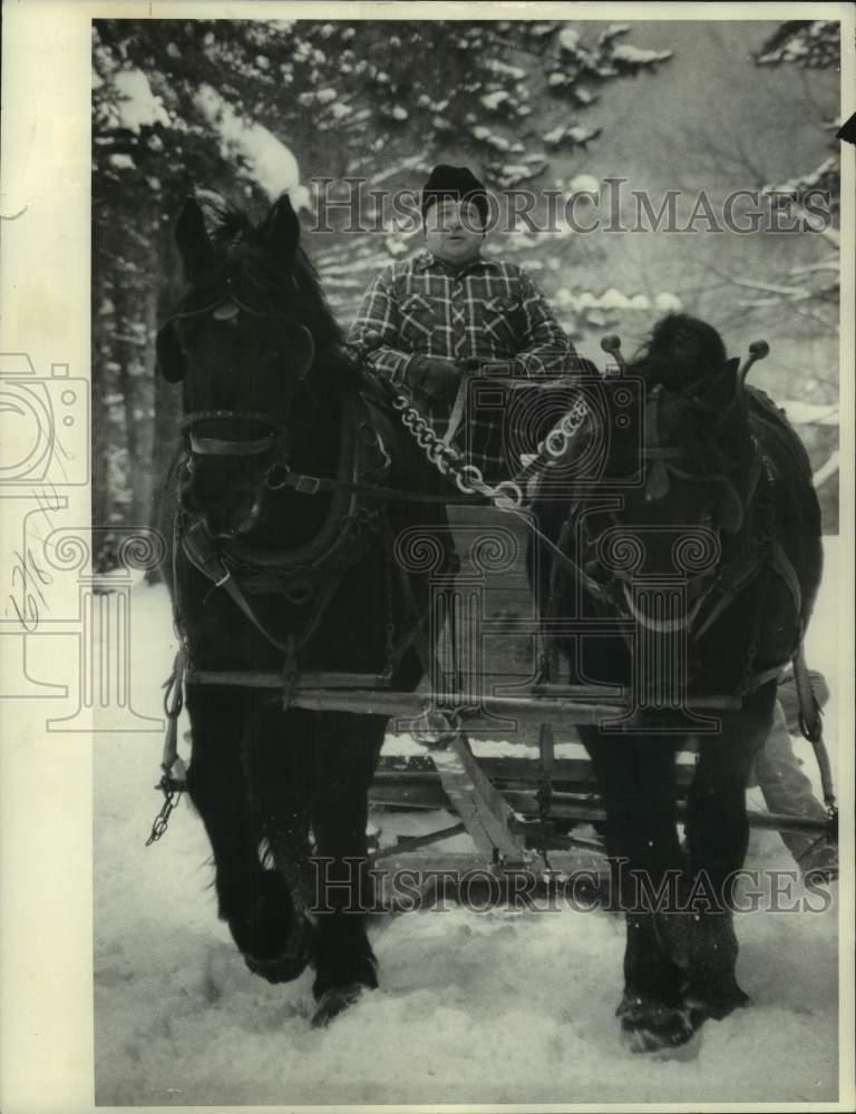 1985 Press Photo Ed Vann Driving Horses for Highland Forest Sleigh Ride - Historic Images