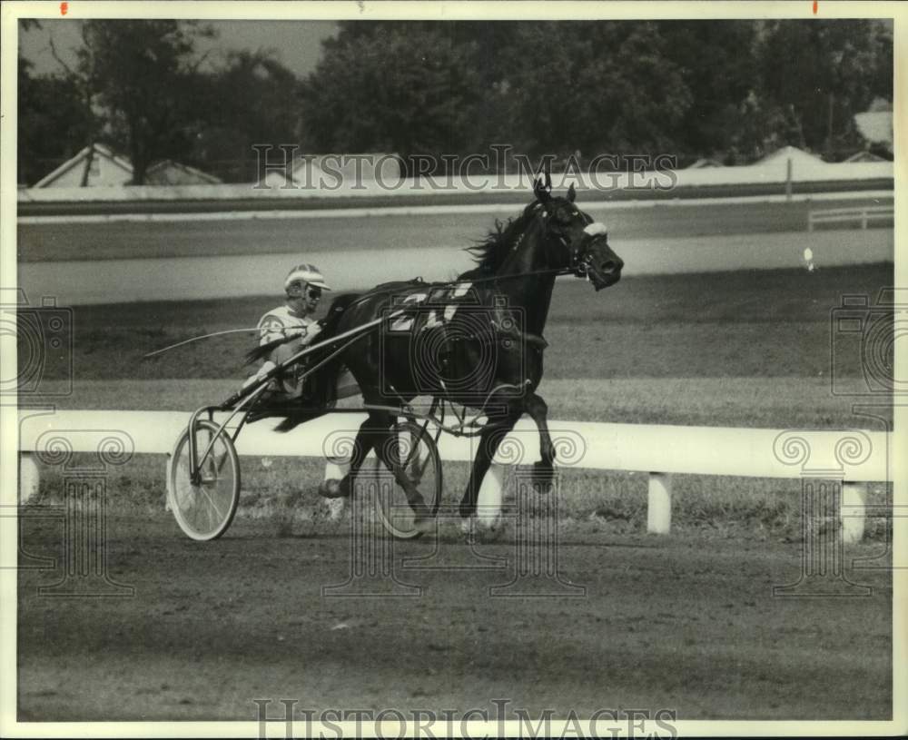1985 Press Photo Clint Galbraith Driving Horse "Naifirst" with Buggy on Track- Historic Images