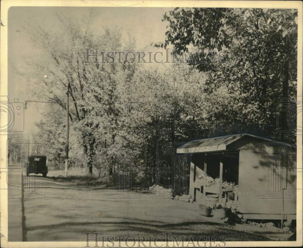 1968 Green Hills Farms at its beginning-Historic Images