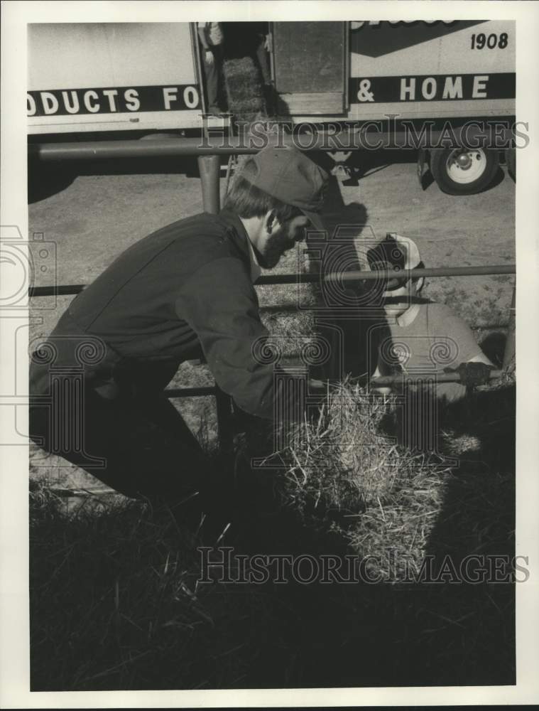 1986 Man Loading Hay for Drought at &quot;Operation Haylift&quot;-Historic Images