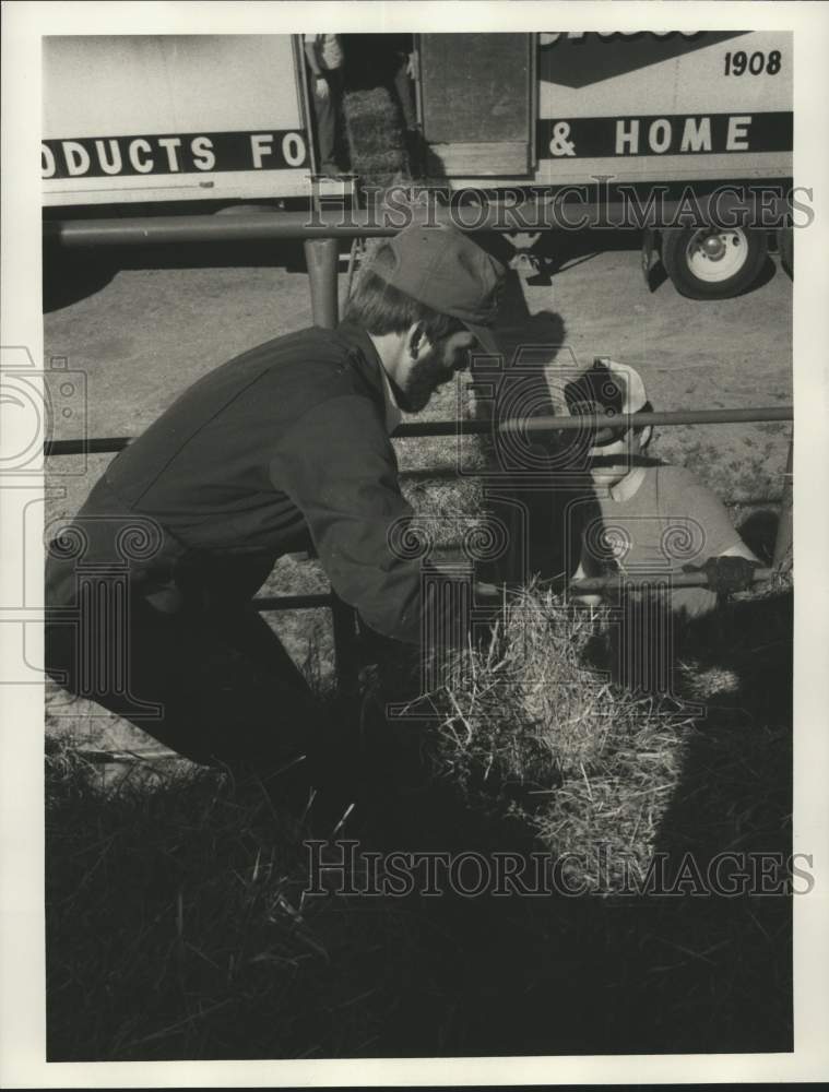 1986 Man Loading Hay for Drought at "Operation Haylift"-Historic Images