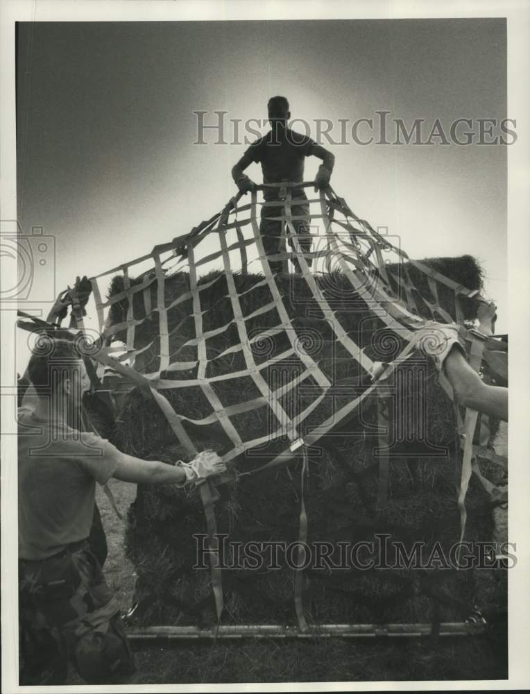 Soldiers Cover Hay with Net for &quot;Operation Haylift&quot;-Historic Images