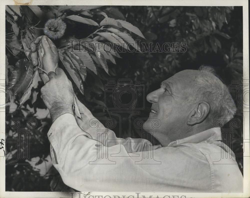 1963 John Hinderwadle with Flowers-Historic Images