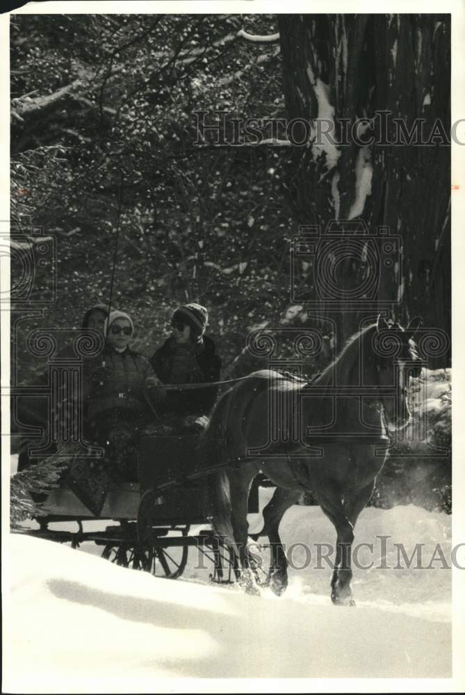 1985 Press Photo Sue Voss Driving Horse and Buggy at Cazenovia Winter Carnival - Historic Images