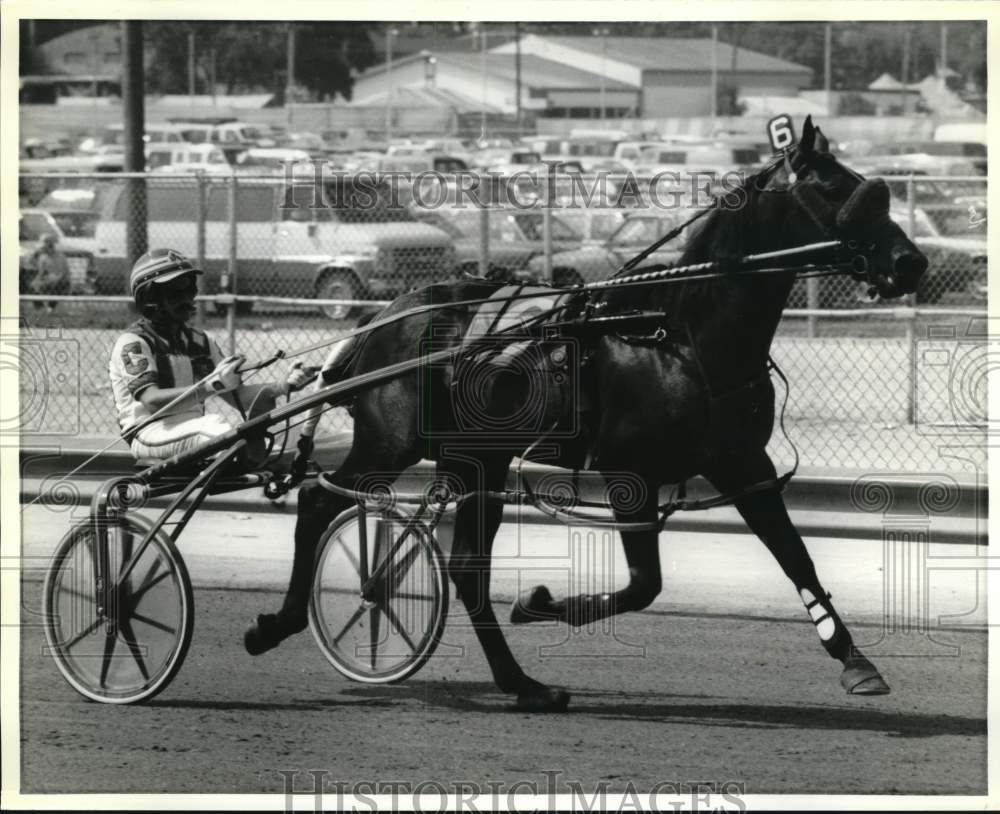 Press Photo Harness Racing Driver John Campbell on Horse at Vernon Downs - Historic Images