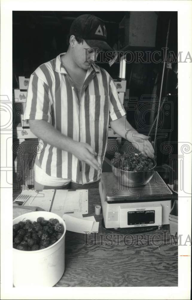 1991 Press Photo Mike Beyer of Turin weighs Strawberries at Farm - sya69300- Historic Images