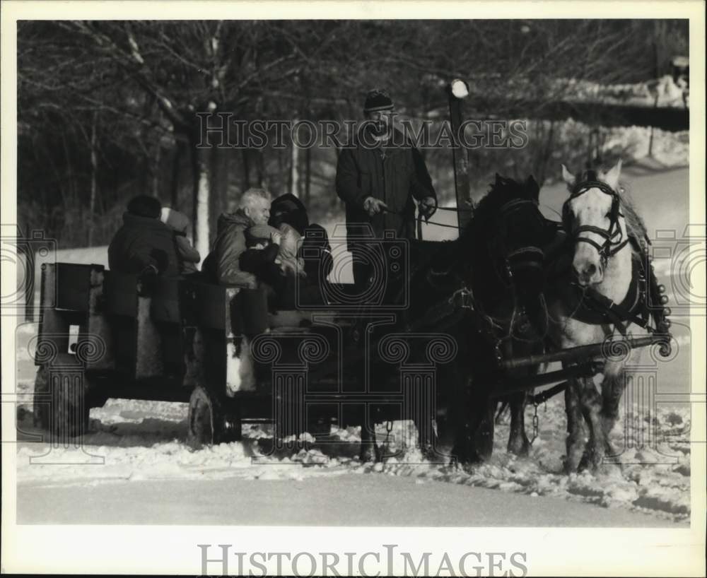 1988 Press Photo Horse and Buggy Driver Ray O&#39;Herien at Longbranch Park- Historic Images