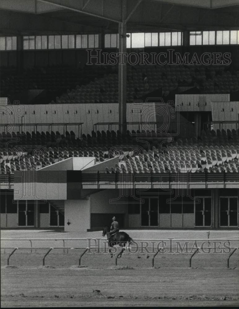 1989 Press Photo Race Horse Running Near Grandstands at Finger Lakes Racetrack - Historic Images