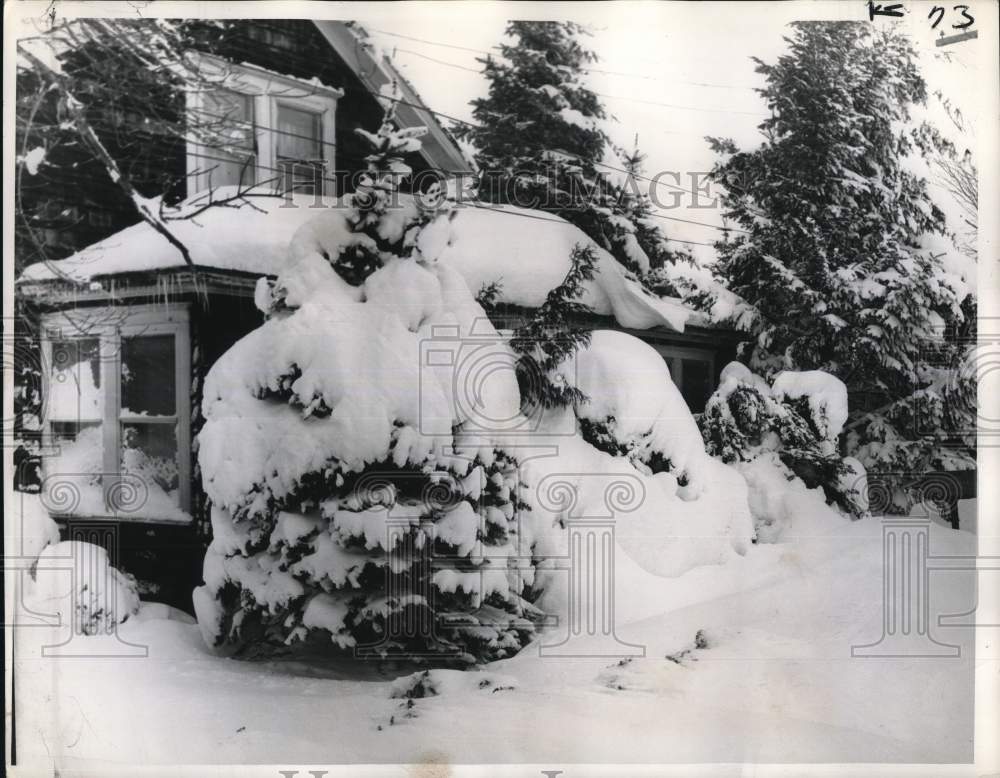 1960 Press Photo A home in Winter wonderland in the Springfield road section.- Historic Images