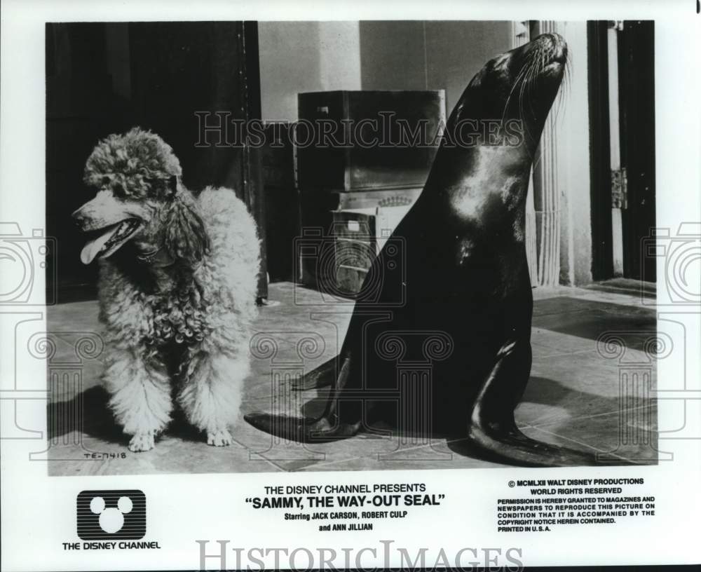 1962 Scene from the movie "Sammy, The Way-Out Seal"-Historic Images