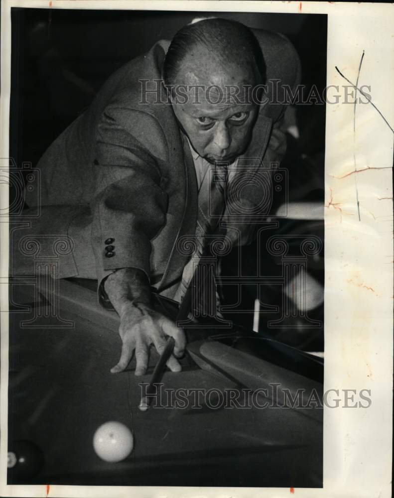 1981 Press Photo &quot;Babe&quot; Cranfield, Pool Player - Historic Images