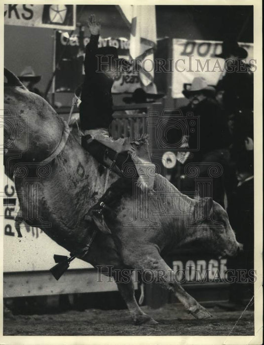 Press Photo Joe Farrelly scored a 64 on a bull at this rodeo- Historic Images