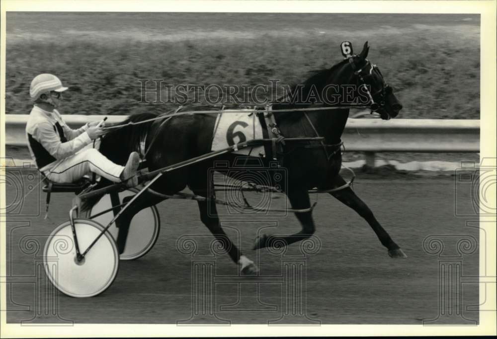 1989 Press Photo &quot;Born a Woman&quot; driven by Claude Huckabone Jr., Syracuse Mile - Historic Images