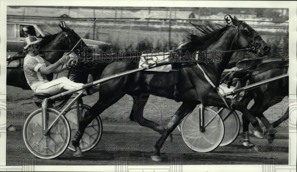 1986 Press Photo Traveling Salesman driven by Tom Haughton at Syracuse Mile - Historic Images