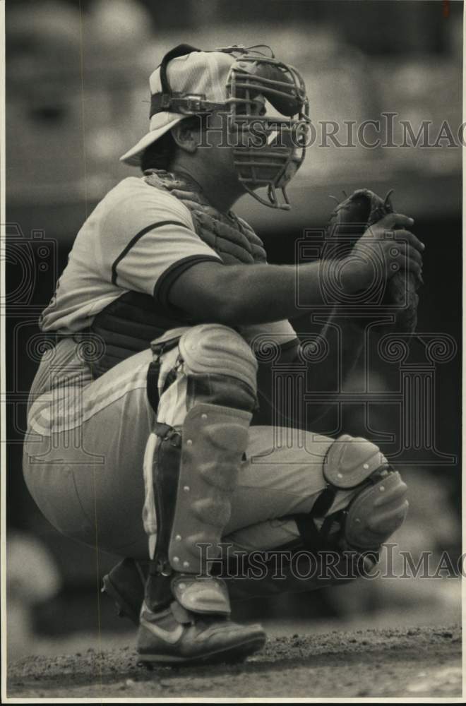 1987 Press Photo Central Region Baseball Catcher Bob Kappesser of Cayuga County - Historic Images