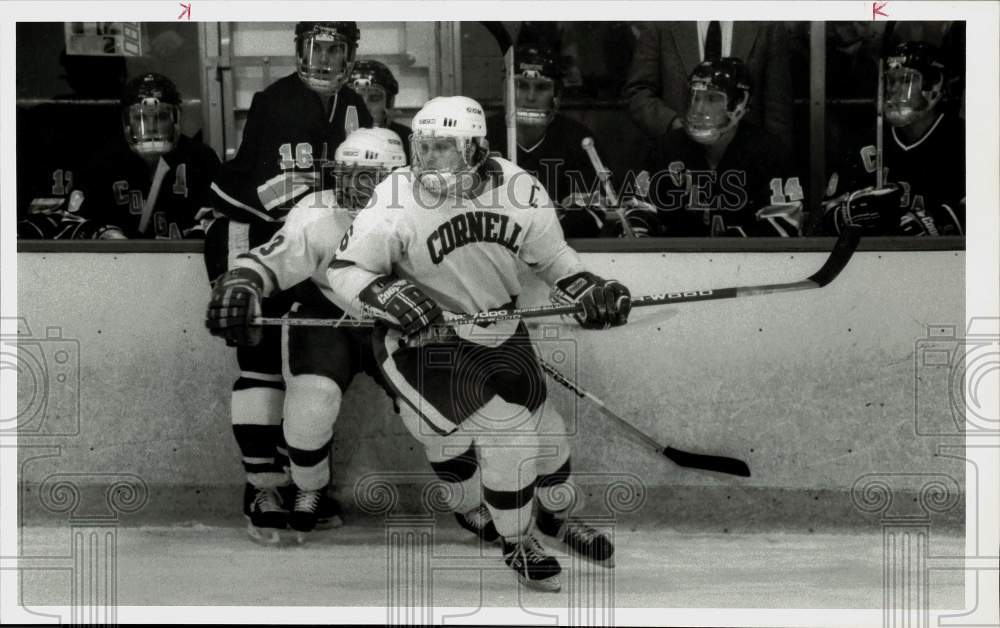 1988 Press Photo Cornell hockey player Rob Levasseur skates across the ice. - Historic Images