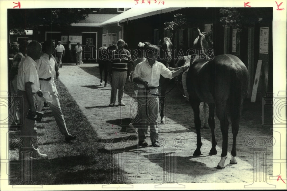 1989 Potential buyers look over horses at Saratoga Yearling Sale, NY - Historic Images