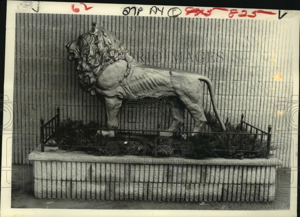 1984 Lion statue outside Italian-American Community Center, Albany - Historic Images