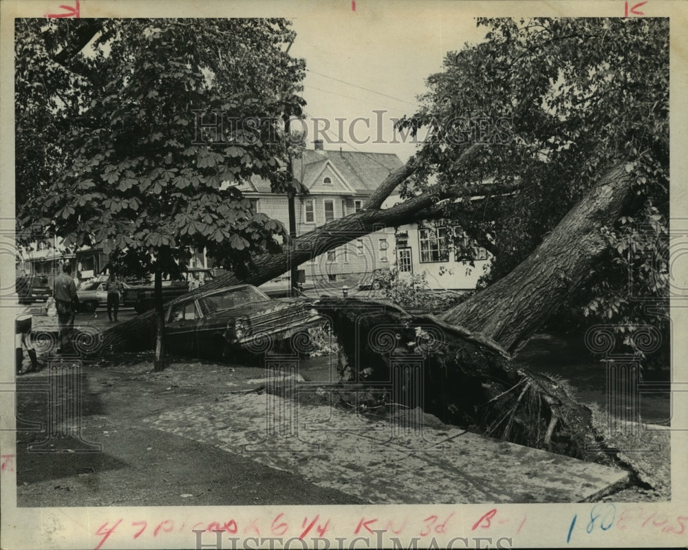 1971 Press Photo Toppled trees and a crushed car after Schenectady, NY storm-Historic Images