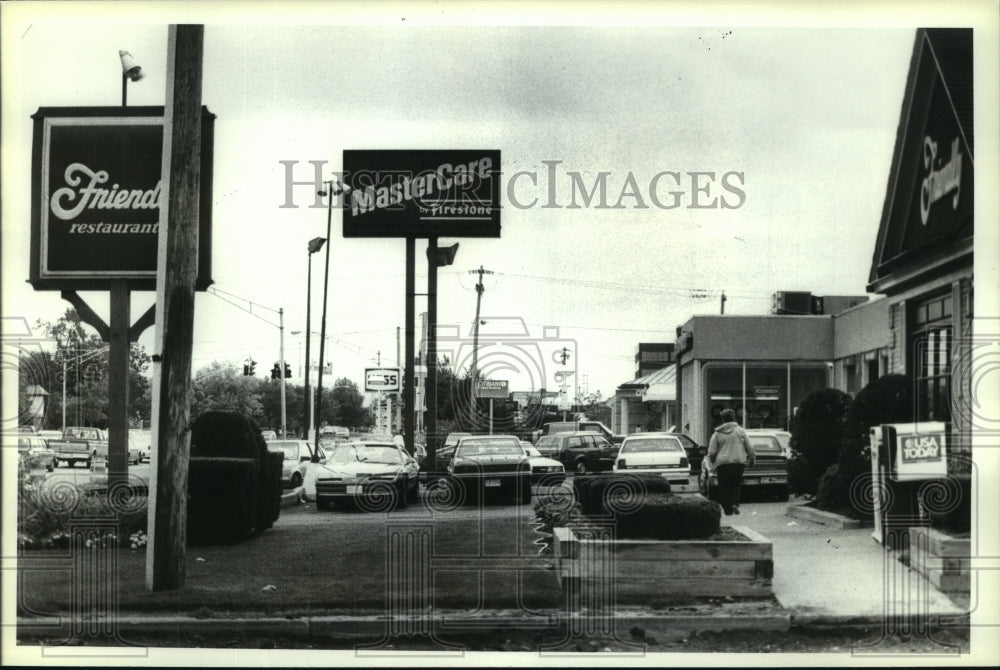 1990 Businesses along Wolf Road in Colonie, New York - Historic Images