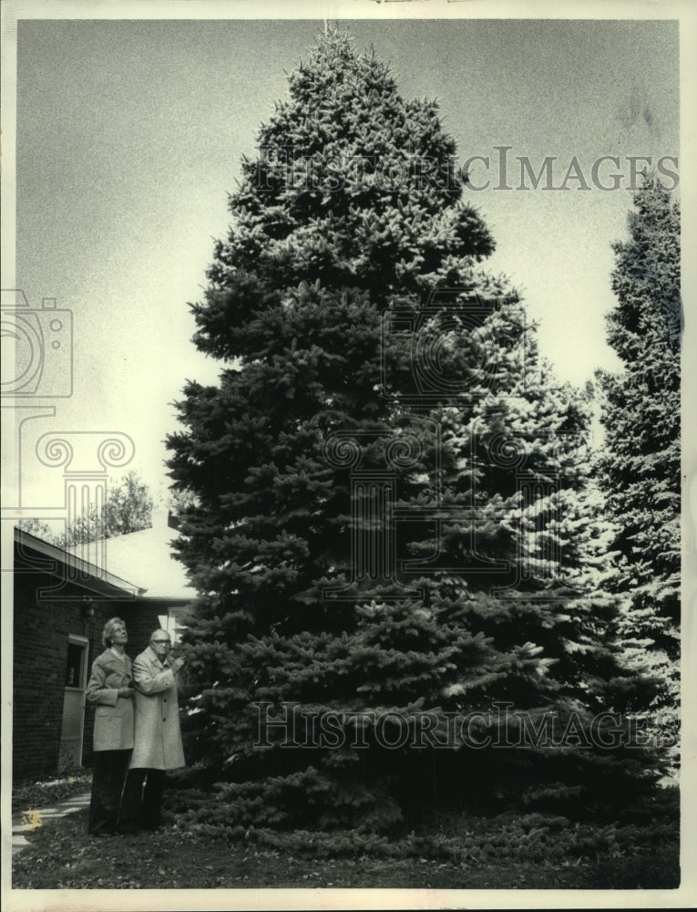 1983 Press Photo Zasada family snips a branch from New York state Christmas tree - Historic Images