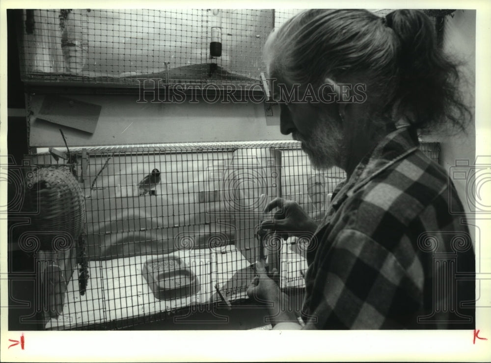 1994 Press Photo Chuck Galusha with Gouldian Finches in Hoosic, New York - Historic Images