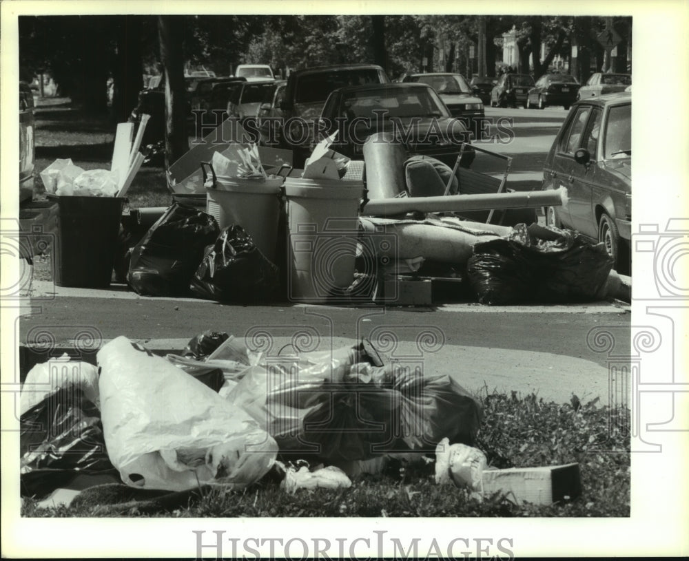 1993 Press Photo Piles of garbage along Albany, New York roadside - tua05383 - Historic Images