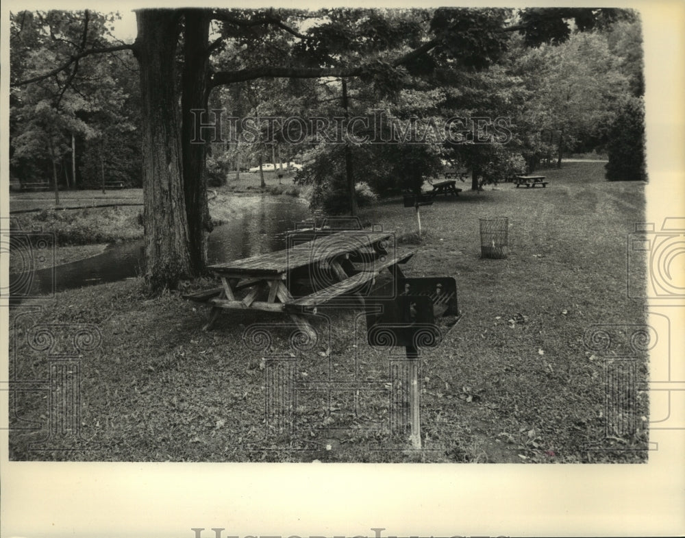 1989 Press Photo Park Tables at Saratoga State Park - tua05500 - Historic Images