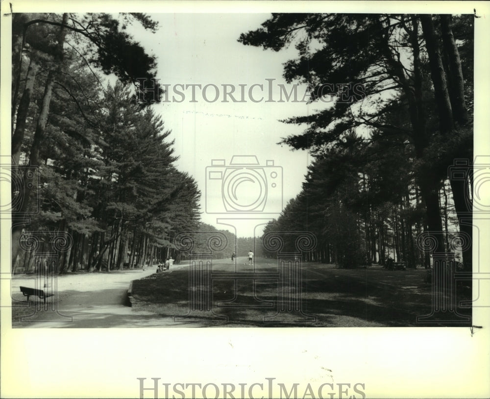 1991 Press Photo Saratoga Golf Course - tua05534 - Historic Images