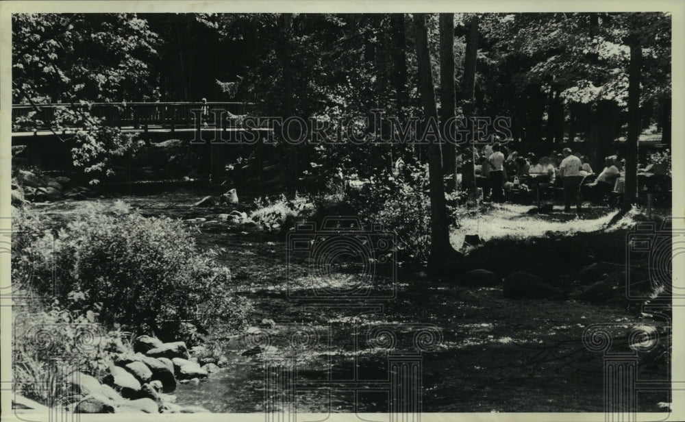 1986 Press Photo Families gather for picnic, Geyser Brook, Saratoga State Park - Historic Images