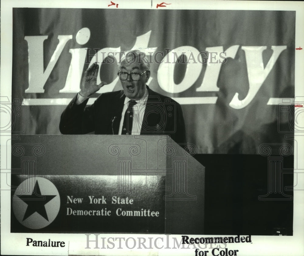 1992 Press Photo Senator Daniel Patrick Moynihan speaks at Albany, NY convention - Historic Images