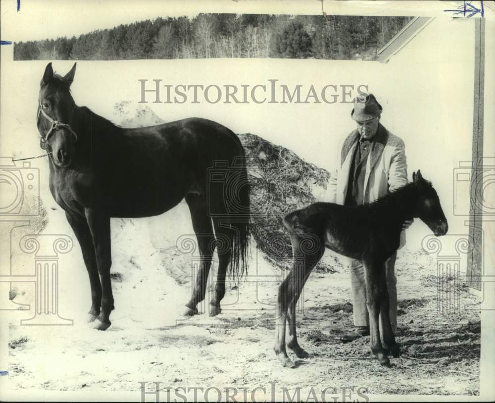 1971 Press Photo Racehorse Nardin&#39;s Byrd with foal in Saratoga, New York - Historic Images