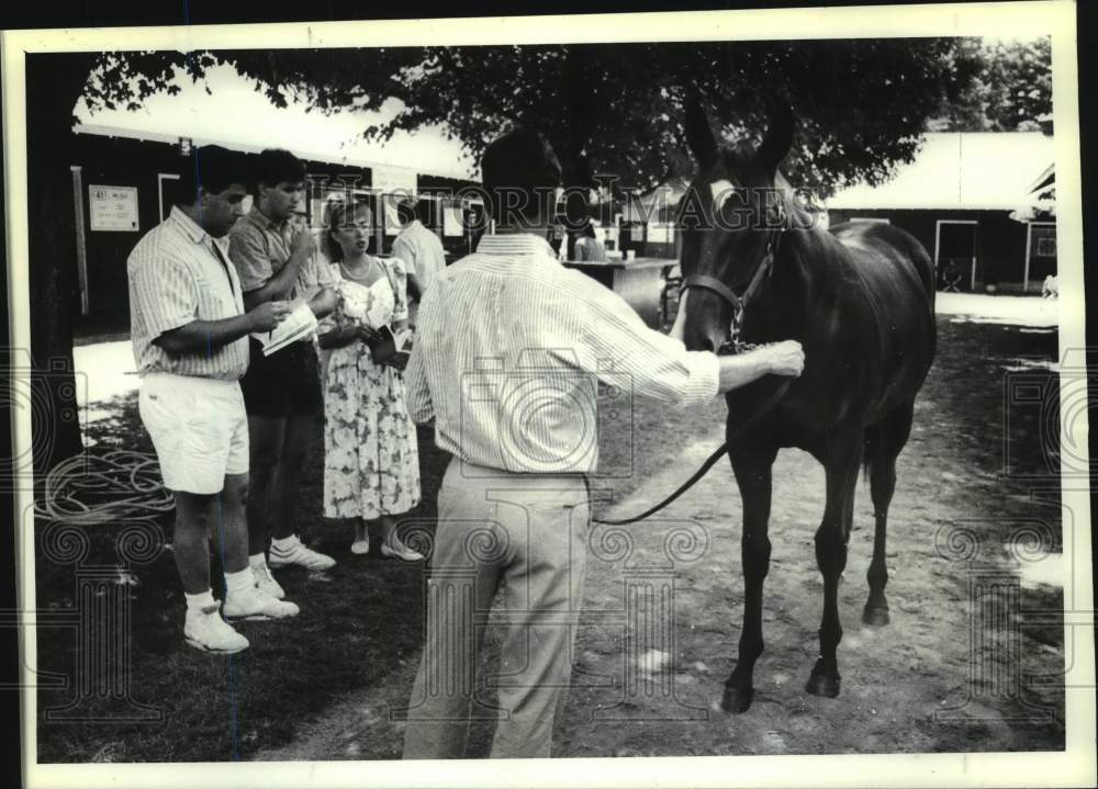 1990 Horse shown to potential buyers at Saratoga, NY Yearling Sales - Historic Images