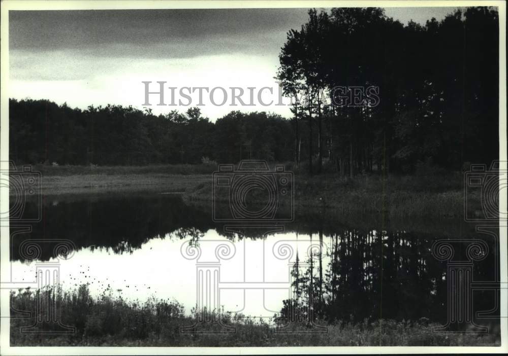 1990 Sunset over pond in Woodlawn Preserve, Schenectady, New York - Historic Images