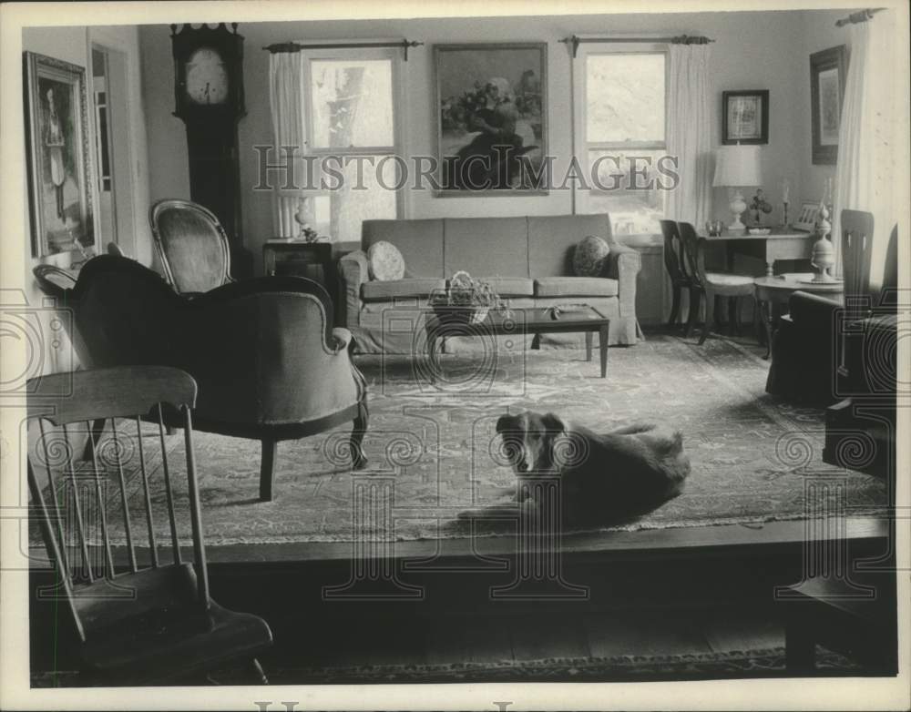 Press Photo Family dog in the living room of Assemblyman Clark Wemple - Historic Images
