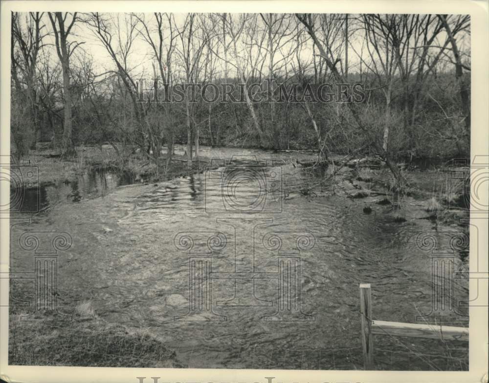 1989 Press Photo Rain causing stream to flood in North Chatham, New York - Historic Images