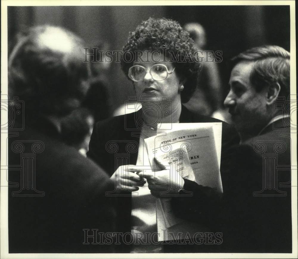 1991 Press Photo New York Assemblywoman Catherine Nolan at State Capitol - Historic Images