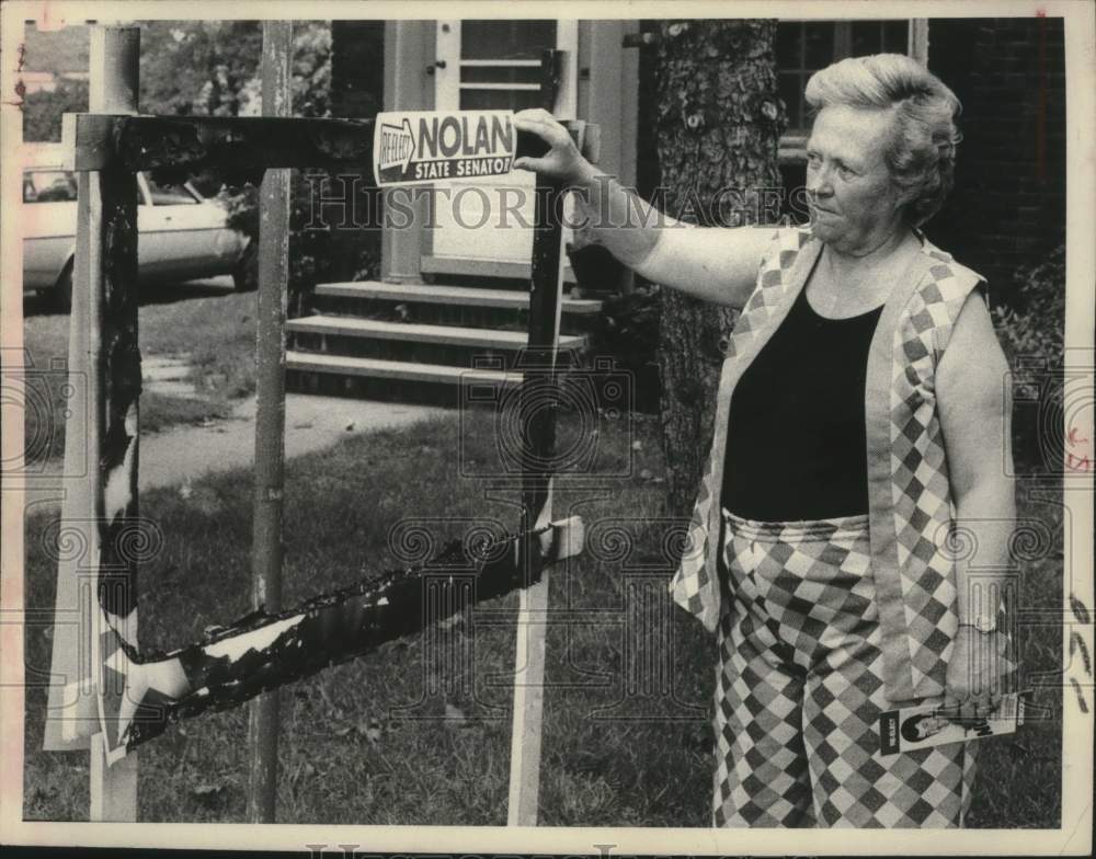 1976 Dorothy Sarrfield puts Howard Nolan for State Senator sticker - Historic Images