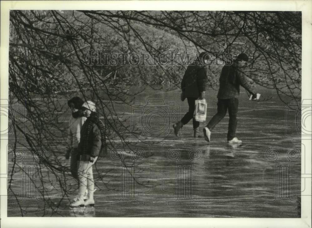 1992 Ice skaters and walkers on the ice at Washington Park Lake, NY - Historic Images
