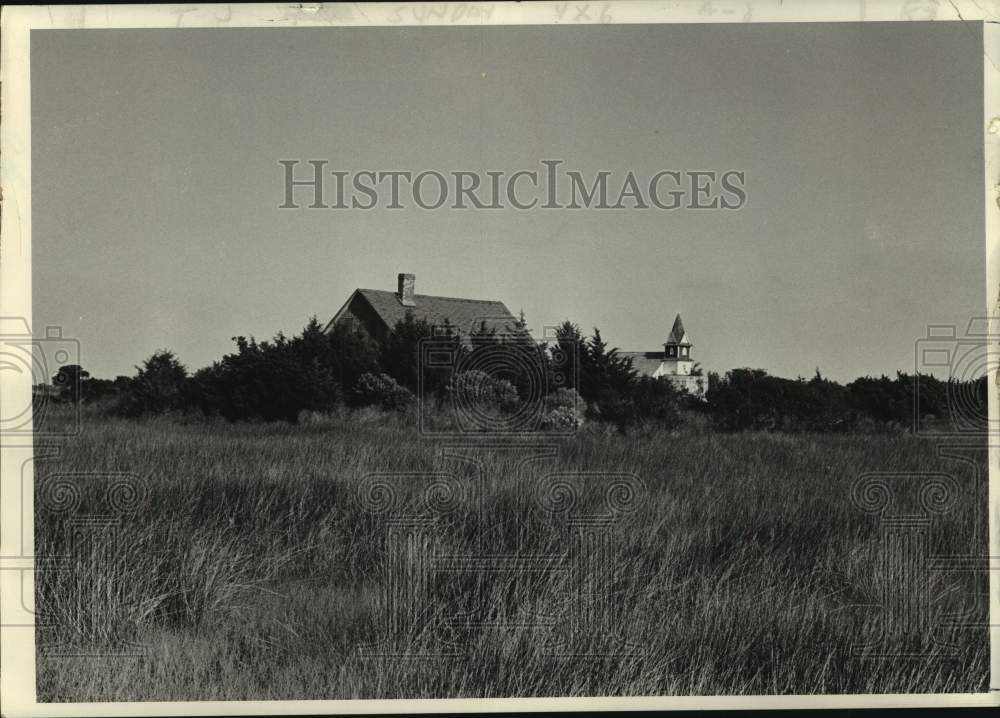 1972 Press Photo North Carolina estate partially hidden by trees - tua15487-Historic Images