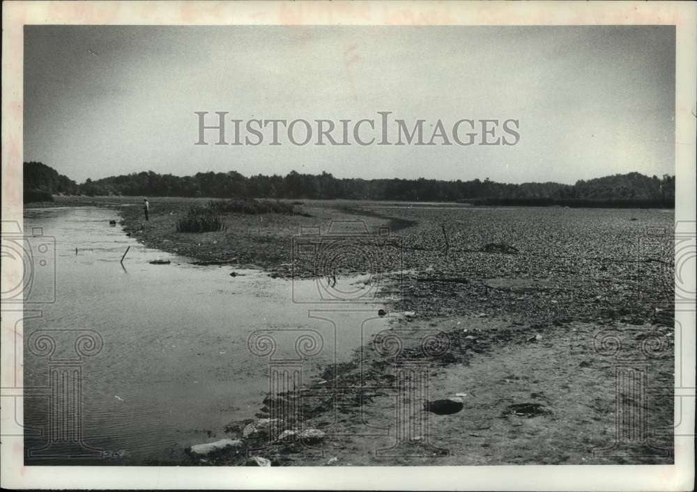 1979 Press Photo City of Watervliet Reservoir on Route 158 is low on water - Historic Images