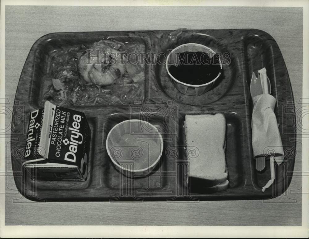 1982 Lunch tray at Green Meadows School, East Greenbush, New York - Historic Images