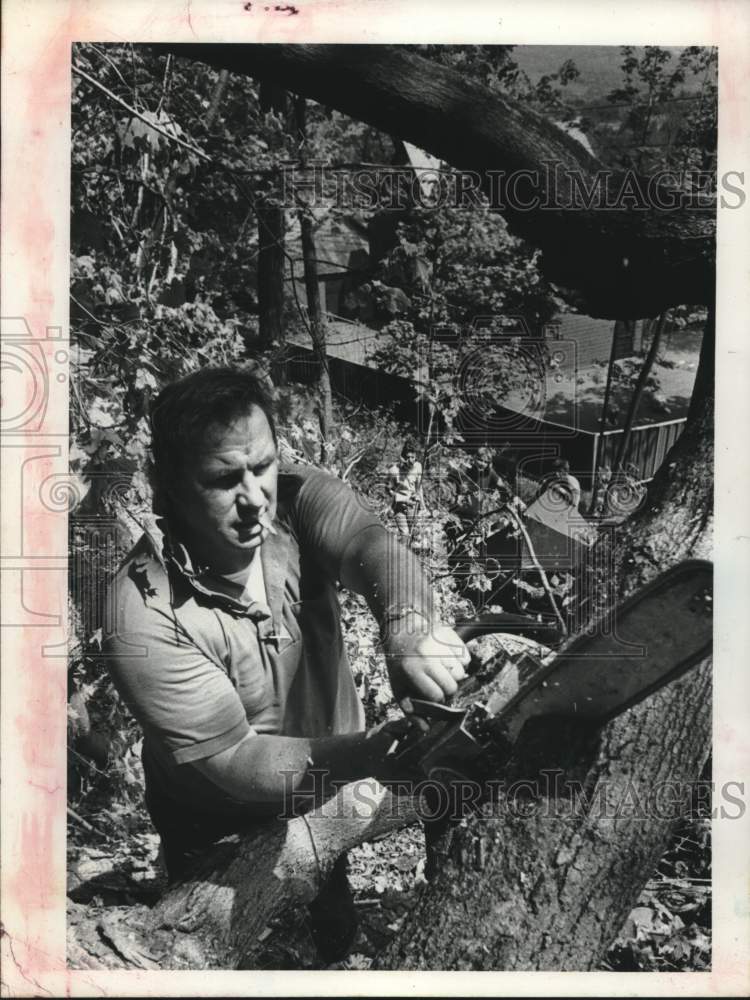 1977 Press Photo George Schupp uses chain saw on tree in New York - tua15845 - Historic Images