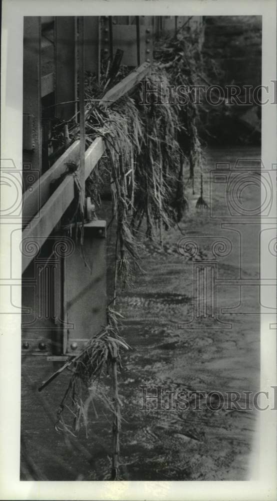1987 Press Photo Plants hang from Sloansville, NY bridge after flood recedes - Historic Images