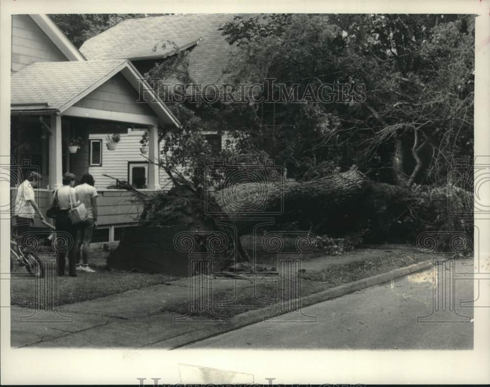 1984 Press Photo Uprooted tree in yard of Scotia, New York home - tua16486 - Historic Images