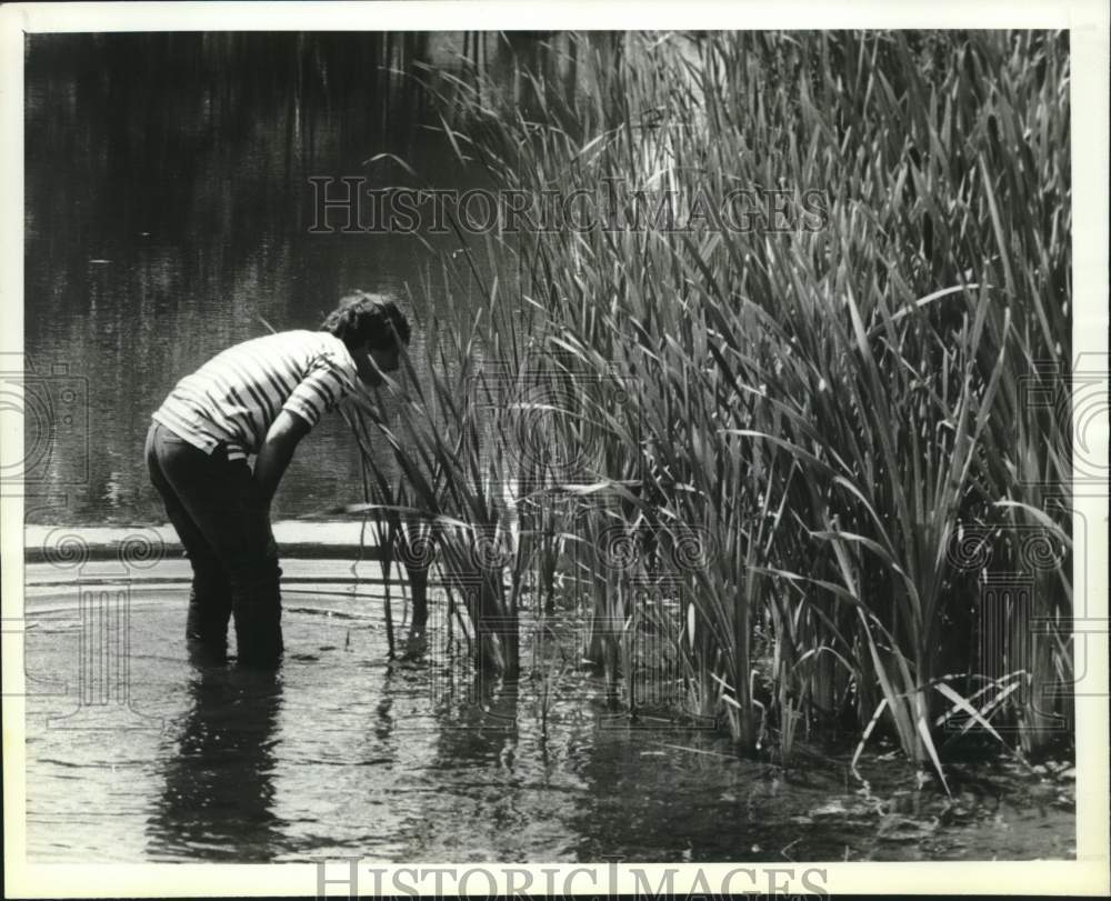 1990 Press Photo Dominic Civitillo wades in Steinmetz Park Pond, Schenectady, NY - Historic Images