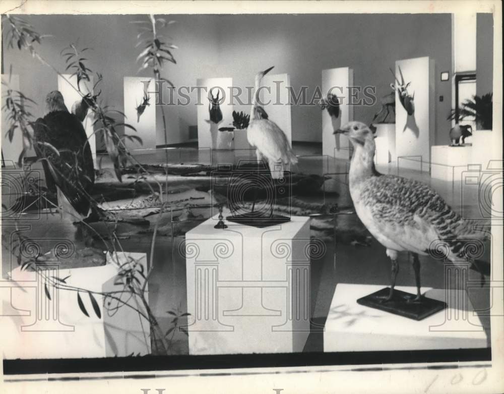 Press Photo "End of the Game" exhibit at Schenectady Museum in New York - Historic Images