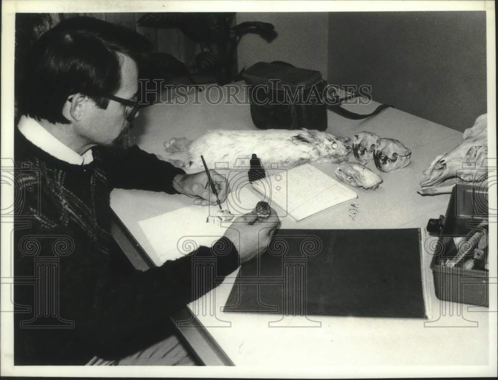 1988 Press Photo Andrew Saunders draws a deer mouse using a specimen as a model - Historic Images